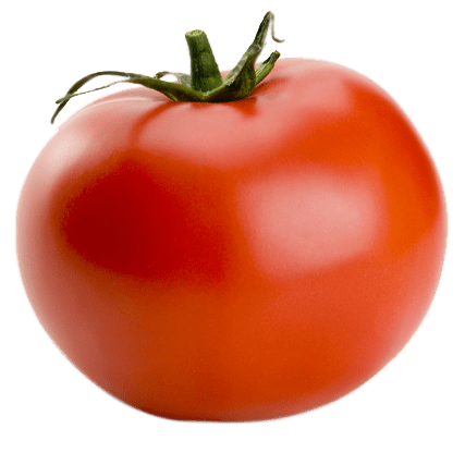 Creative Cuisine Tomato 2