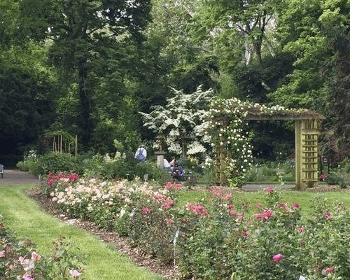 Whetstone Park of Roses